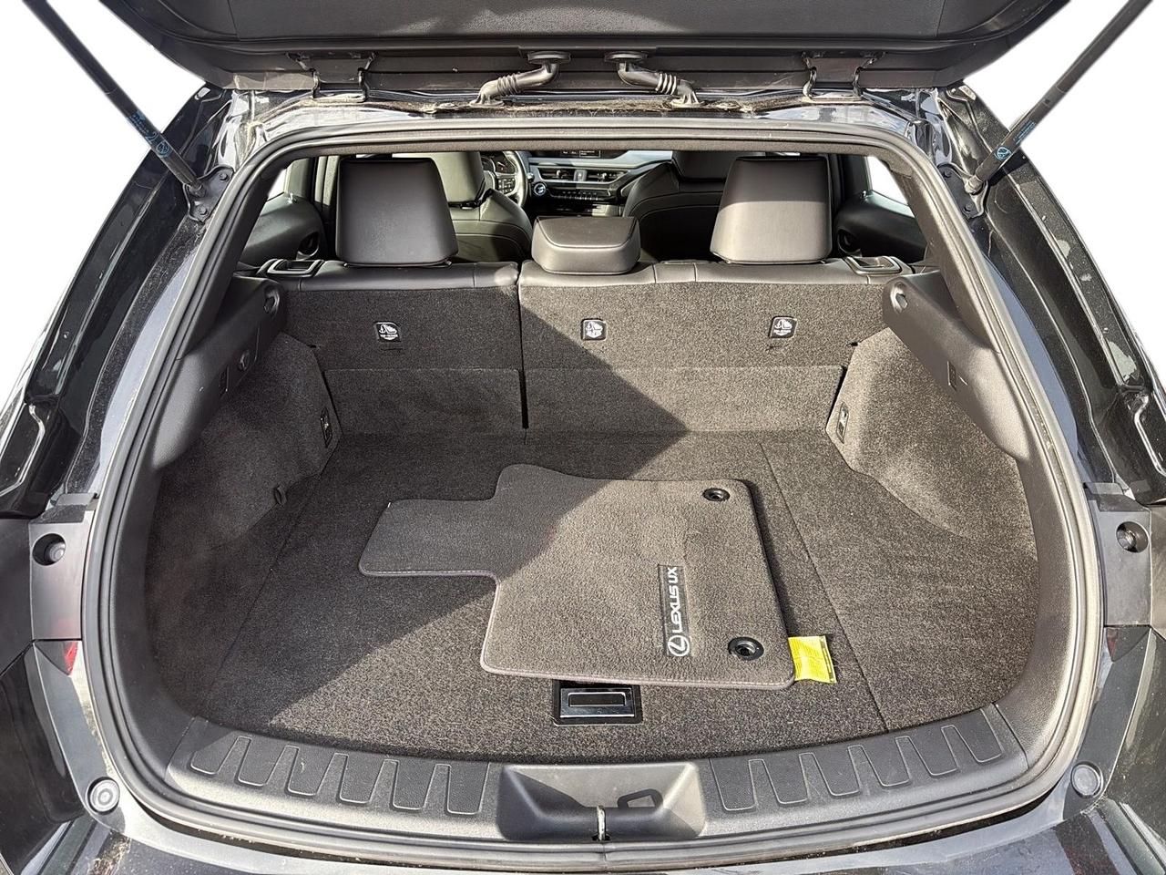 2019 Lexus UX 250h Hybrid | Power Seats | Htd Steering Wheel Photo
