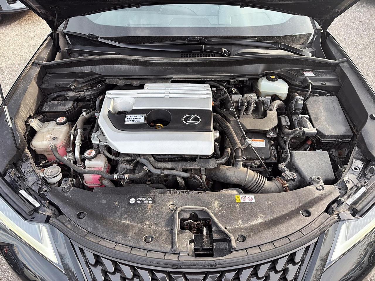2019 Lexus UX 250h Hybrid | Power Seats | Htd Steering Wheel Photo