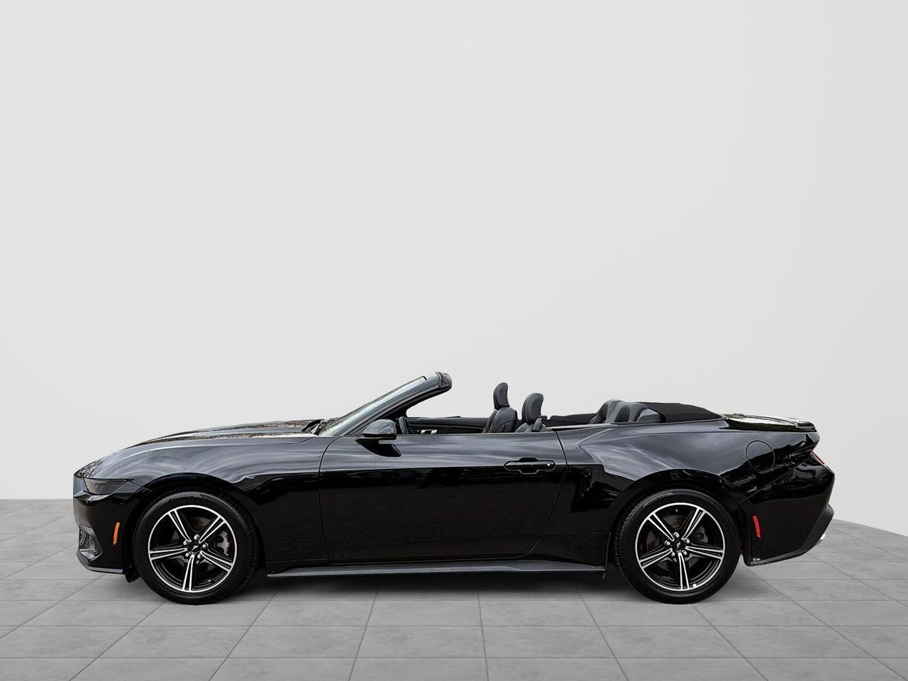 2025 Ford Mustang EcoBoost Premium Convertible | NO ACCIDENTS Photo