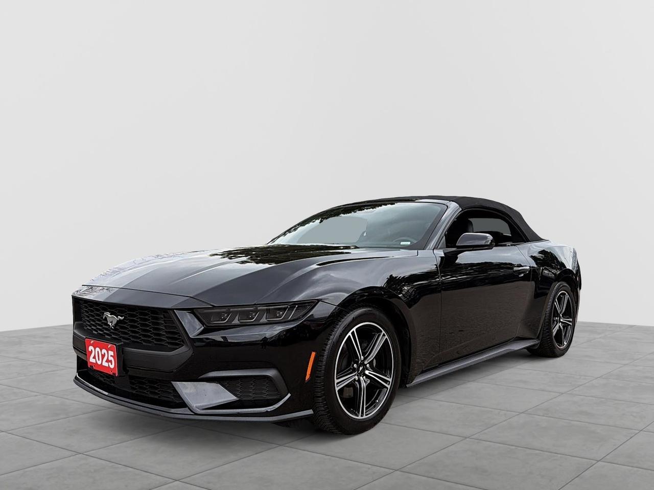 2025 Ford Mustang EcoBoost Premium Convertible | NO ACCIDENTS Photo4