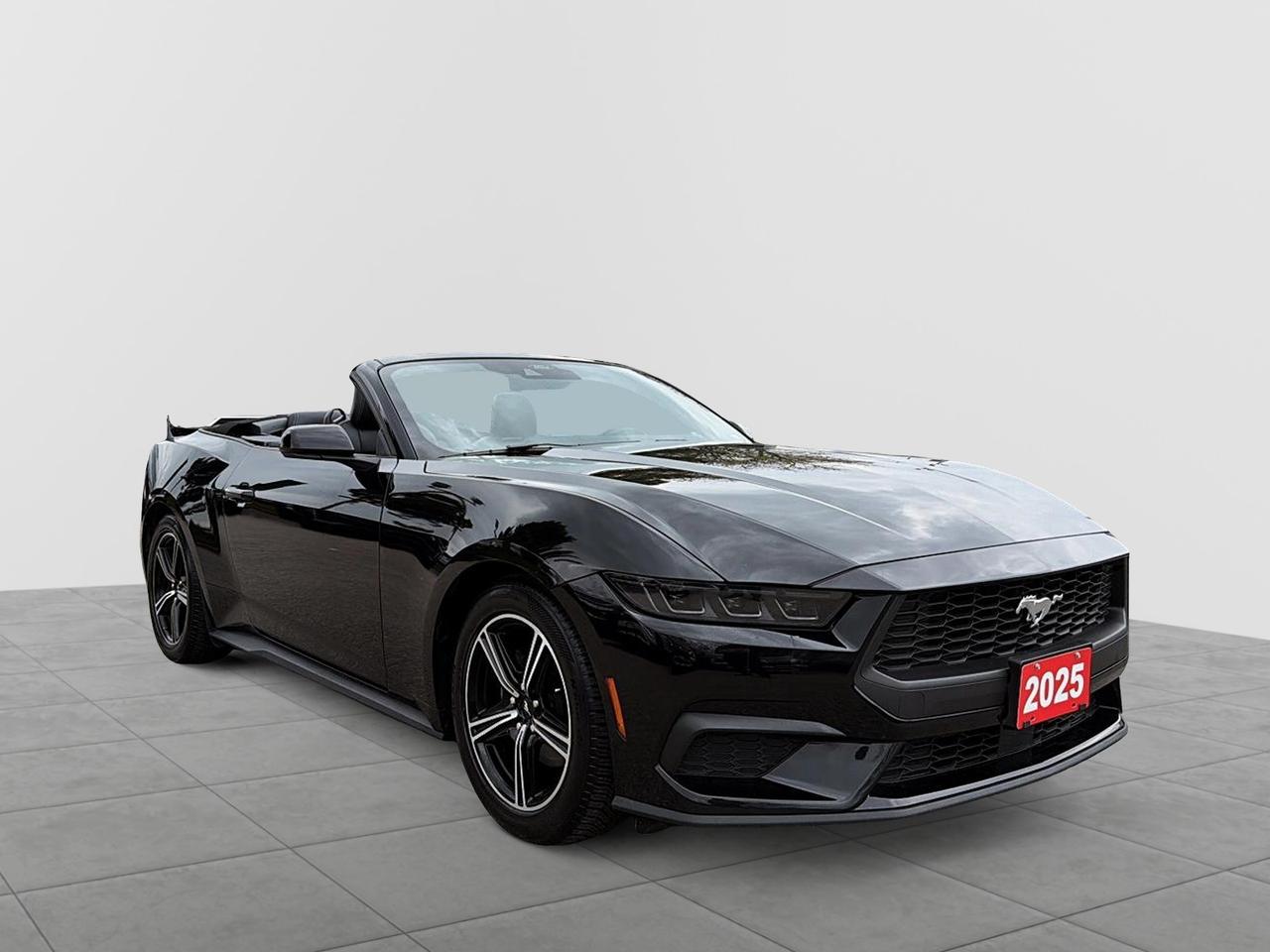 2025 Ford Mustang EcoBoost Premium Convertible | NO ACCIDENTS Photo
