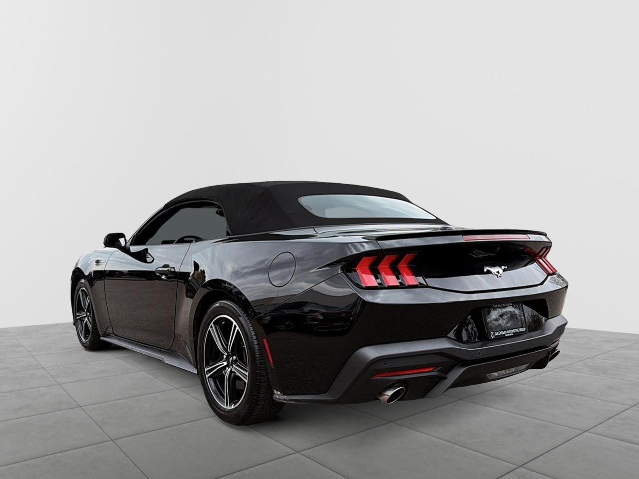 2025 Ford Mustang EcoBoost Premium Convertible | NO ACCIDENTS Photo