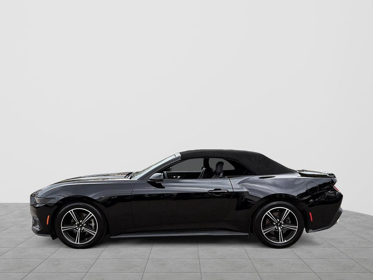 2025 Ford Mustang EcoBoost Premium Convertible | NO ACCIDENTS Photo