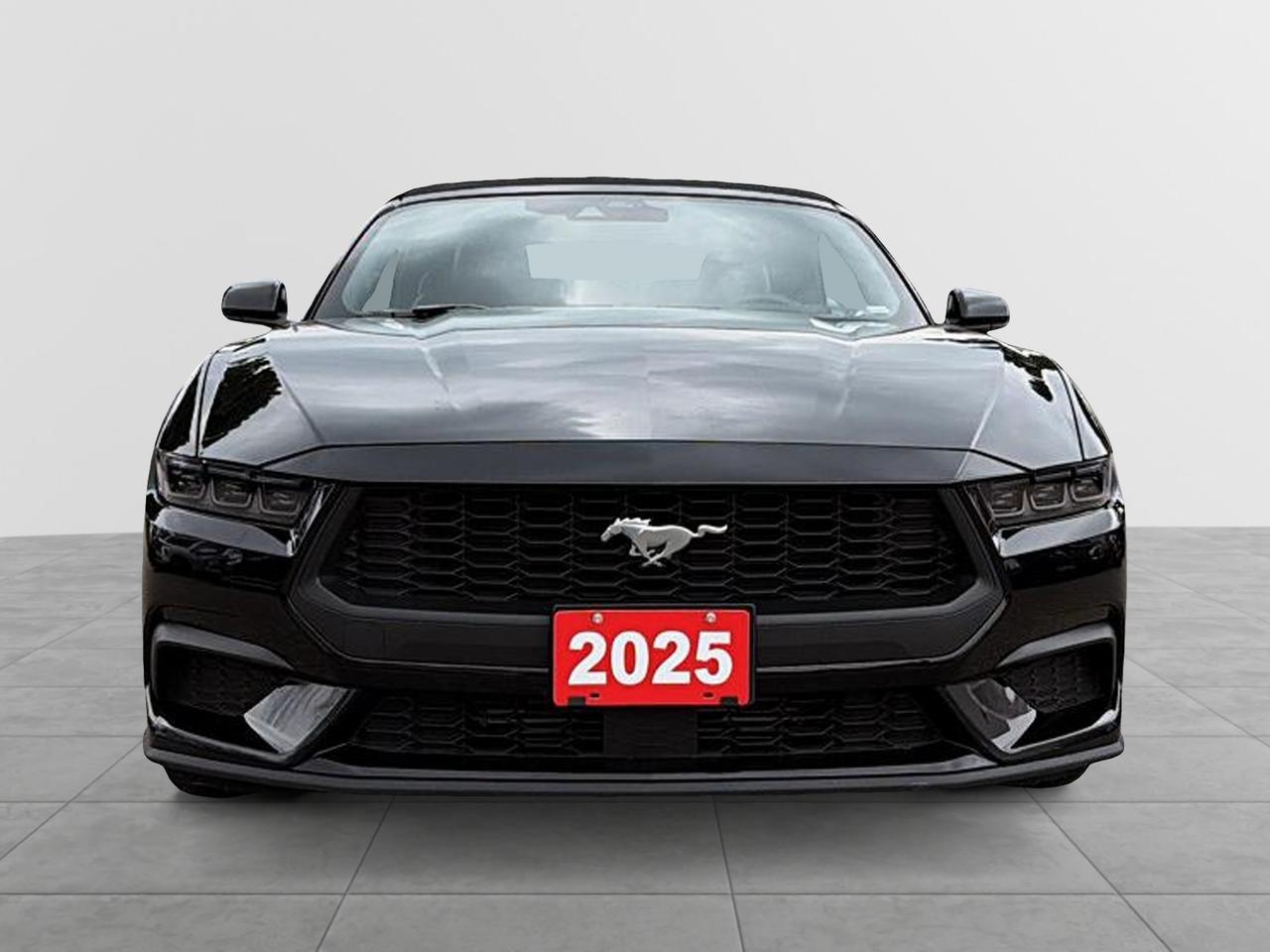 2025 Ford Mustang EcoBoost Premium Convertible | NO ACCIDENTS Photo