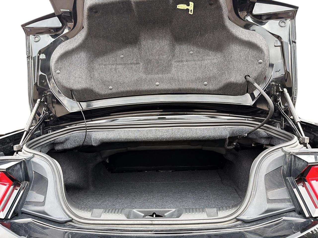 2025 Ford Mustang EcoBoost Premium Convertible | NO ACCIDENTS Photo