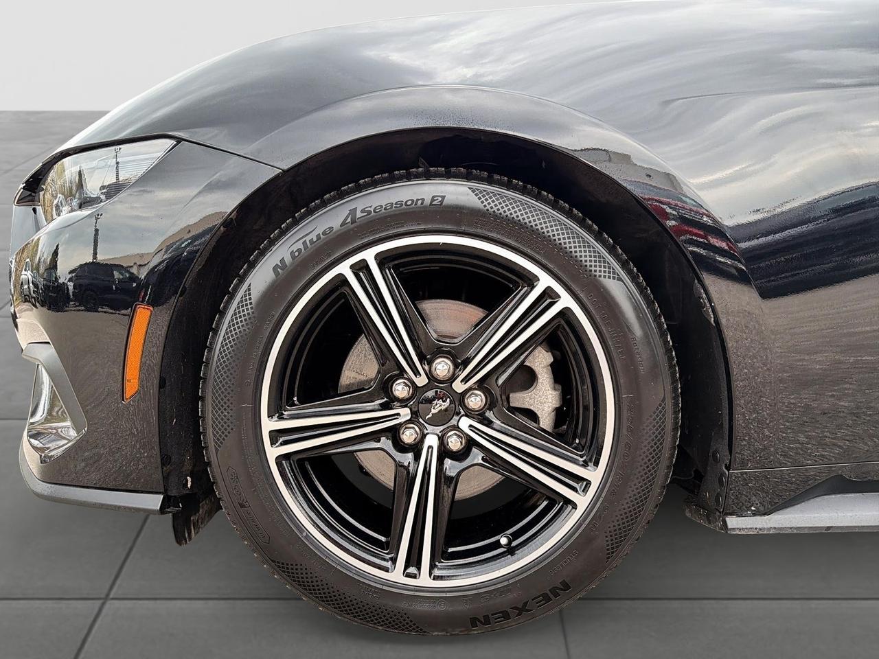 2025 Ford Mustang EcoBoost Premium Convertible | NO ACCIDENTS Photo