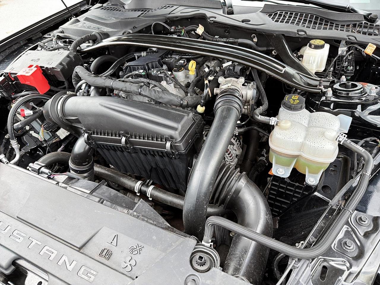 2025 Ford Mustang EcoBoost Premium Convertible | NO ACCIDENTS Photo