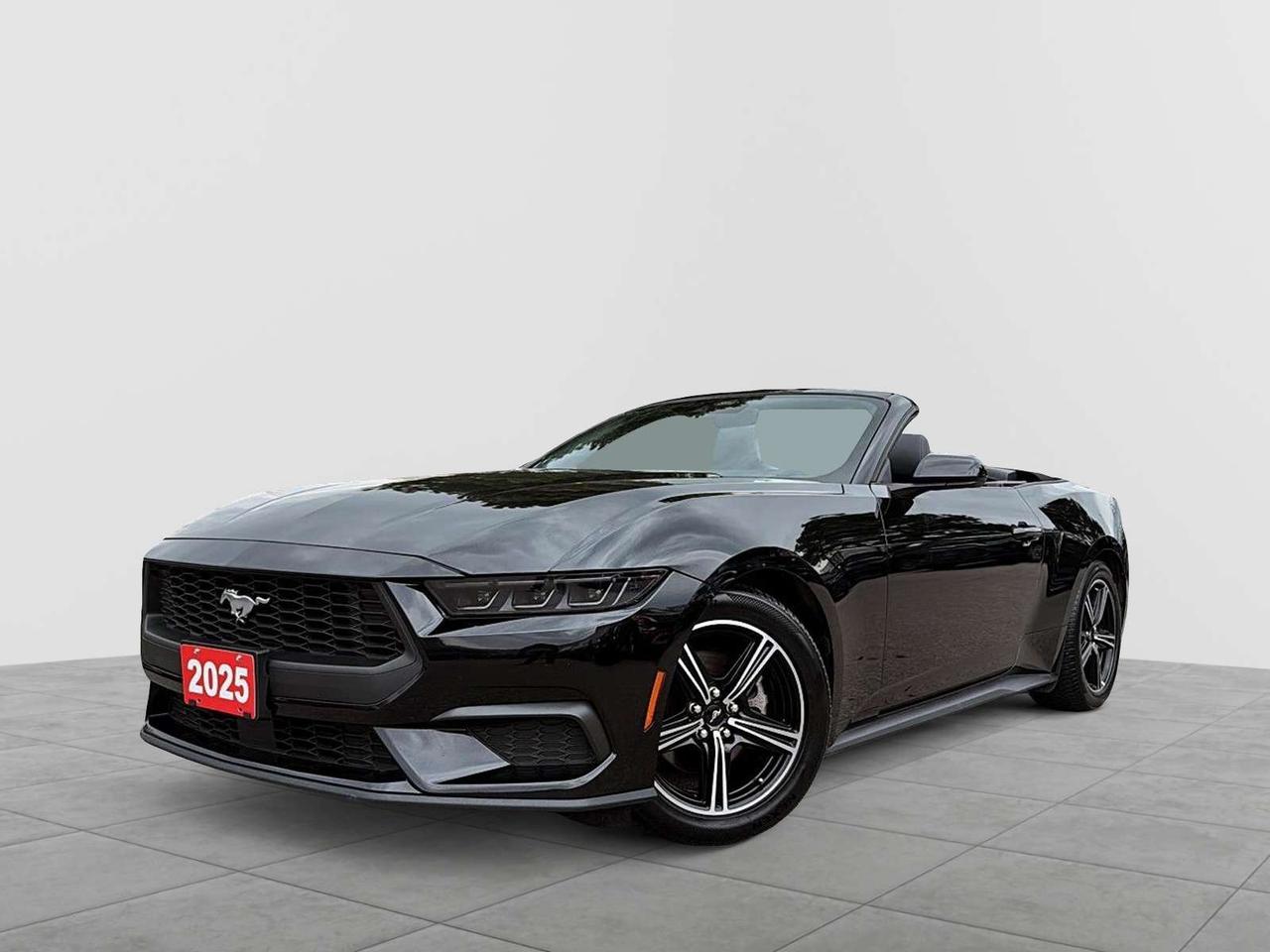 Fully automatic headlights, Heated front seats, Power convertible roof, Ventilated front seats.

Recent Arrival!

CARFAX Canada No Reported Accidents CARFAX Canada One Owner

2025 Ford Mustang Convertible in Shadow Black!

Open-Air Thrill with Modern Performance

The 2025 Ford Mustang EcoBoost Premium Convertible delivers turbocharged performance, cutting-edge tech, and top-down freedom in a sleek, driver-focused sports car. Powered by a 2.3L EcoBoost turbocharged engine producing 315 horsepower, paired with a smooth 10-speed automatic and rear-wheel drive, it offers strong acceleration and classic Mustang driving dynamics . With the push of a button, the power soft top drops for true open-air driving, while selectable drive modes and sport-tuned suspension keep every drive engaging. Inside, the Premium trim adds comfort and style with ActiveX-trimmed heated and ventilated seats, a fully digital 12.4" cluster, a large 13.2" touchscreen with SYNC 4, wireless Apple CarPlay and Android Auto, and available Bang & Olufsen premium audio, creating a modern, high-tech cockpit . Safety and convenience features like blind-spot monitoring, lane-keep assist, rear cross-traffic alert, and a rearview camera provide confidence on every drive. Sporty, refined, and unmistakably Mustang, this EcoBoost Premium Convertible is perfect for drivers who want performance, style, and the freedom of open-air driving all in one iconic package.

Vehicle Price and Finance payments include OMVIC Fee, Admin Fee and Fuel. Erin Mills Mitsubishi is proud to offer a superior selection of top quality pre-owned vehicles of all makes. We stock cars, trucks, SUVs, sports cars, and crossovers to fit every budget!! We have been proudly serving the cities and towns of Kitchener, Guelph, Waterloo, Hamilton, Oakville, Toronto, Windsor, London, Niagara Falls, Cambridge, Orillia, Bracebridge, Barrie, Mississauga, Brampton, Simcoe, Burlington, Ottawa, Sarnia, Port Elgin, Kincardine, Listowel, Collingwood, Arthur, Wiarton, Brantford, St. Catharines, Newmarket, Stratford, Peterborough, Kingston, Sudbury, Sault Ste Marie, Welland, Oshawa, Whitby, Cobourg, Belleville, Trenton, Petawawa, North Bay, Huntsville, Gananoque, Brockville, Napanee, Arnprior, Bancroft, Owen Sound, Chatham, St. Thomas, Leamington, Milton, Ajax, Pickering and surrounding areas since 2009.