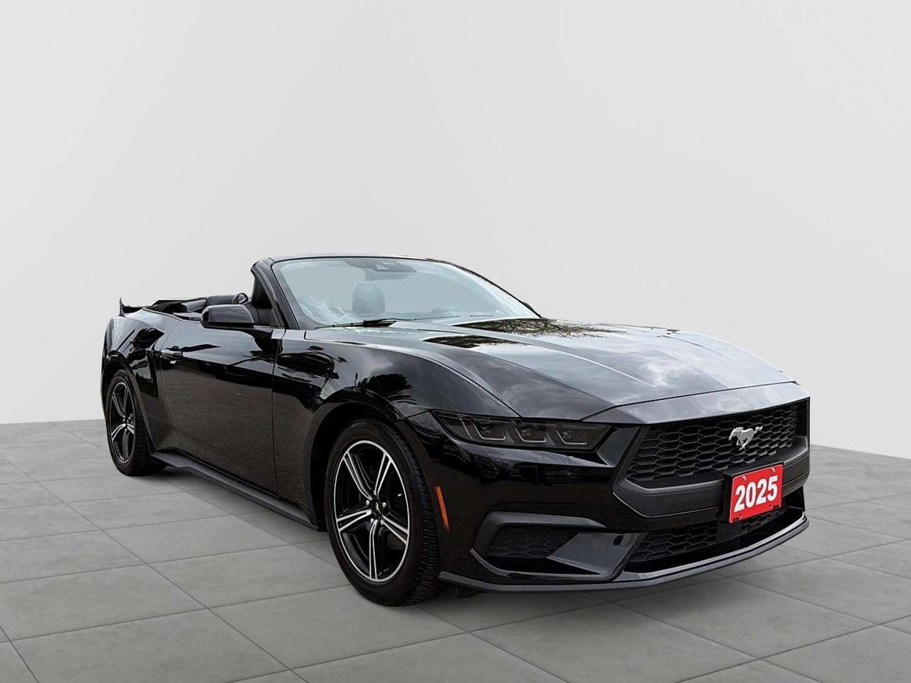 2025 Ford Mustang Convertible | RATES FROM 3.99 % Photo1