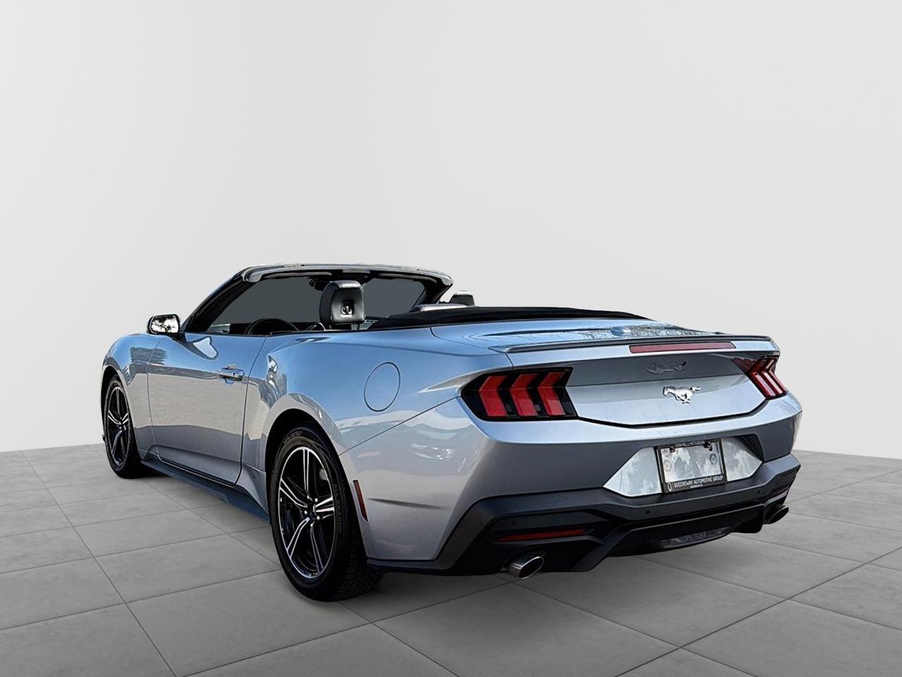 2025 Ford Mustang EcoBoost Premium Convertible | NO ACCIDENTS | CARP Photo