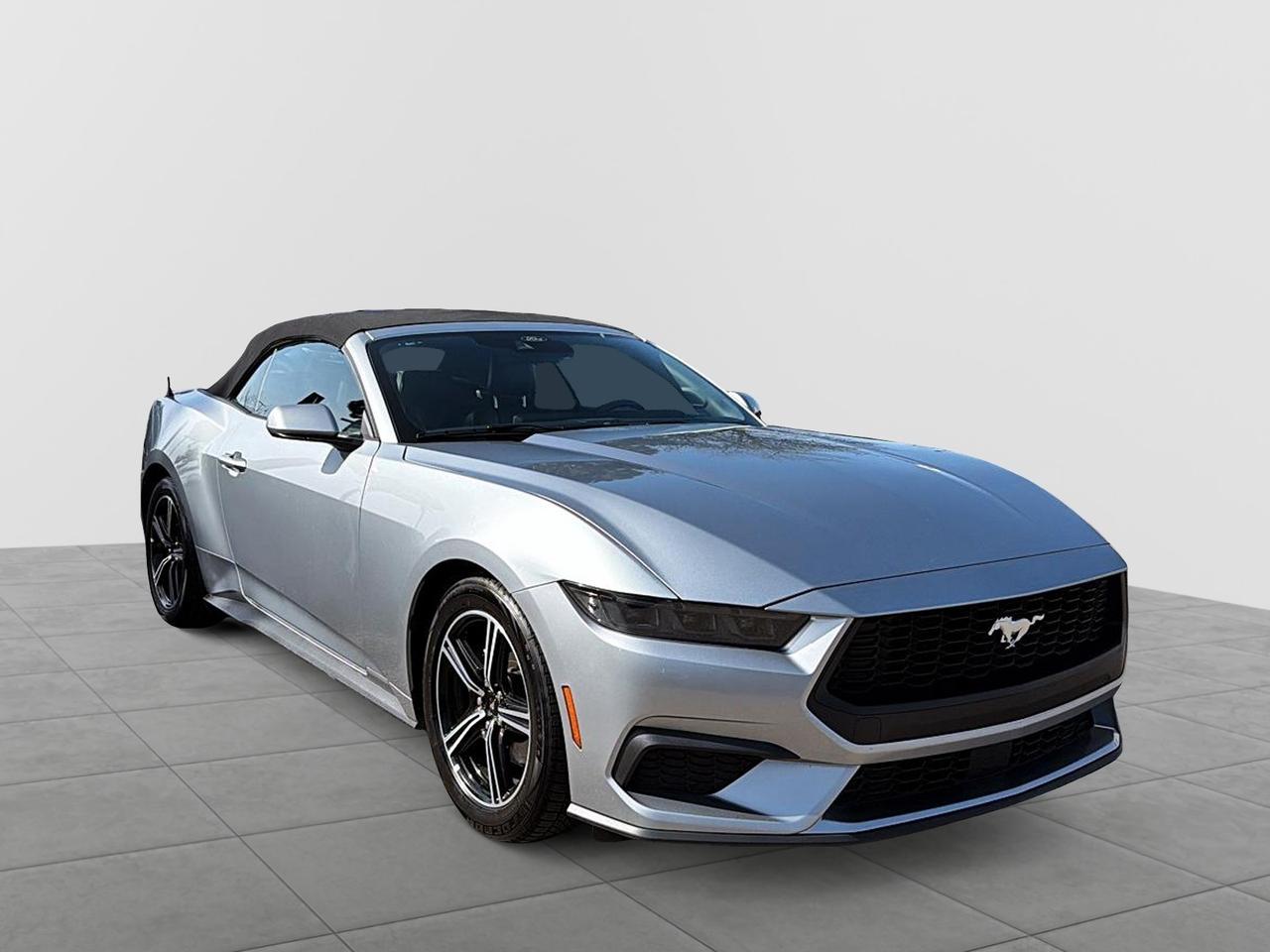 2025 Ford Mustang EcoBoost Premium Convertible | NO ACCIDENTS | CARP Photo