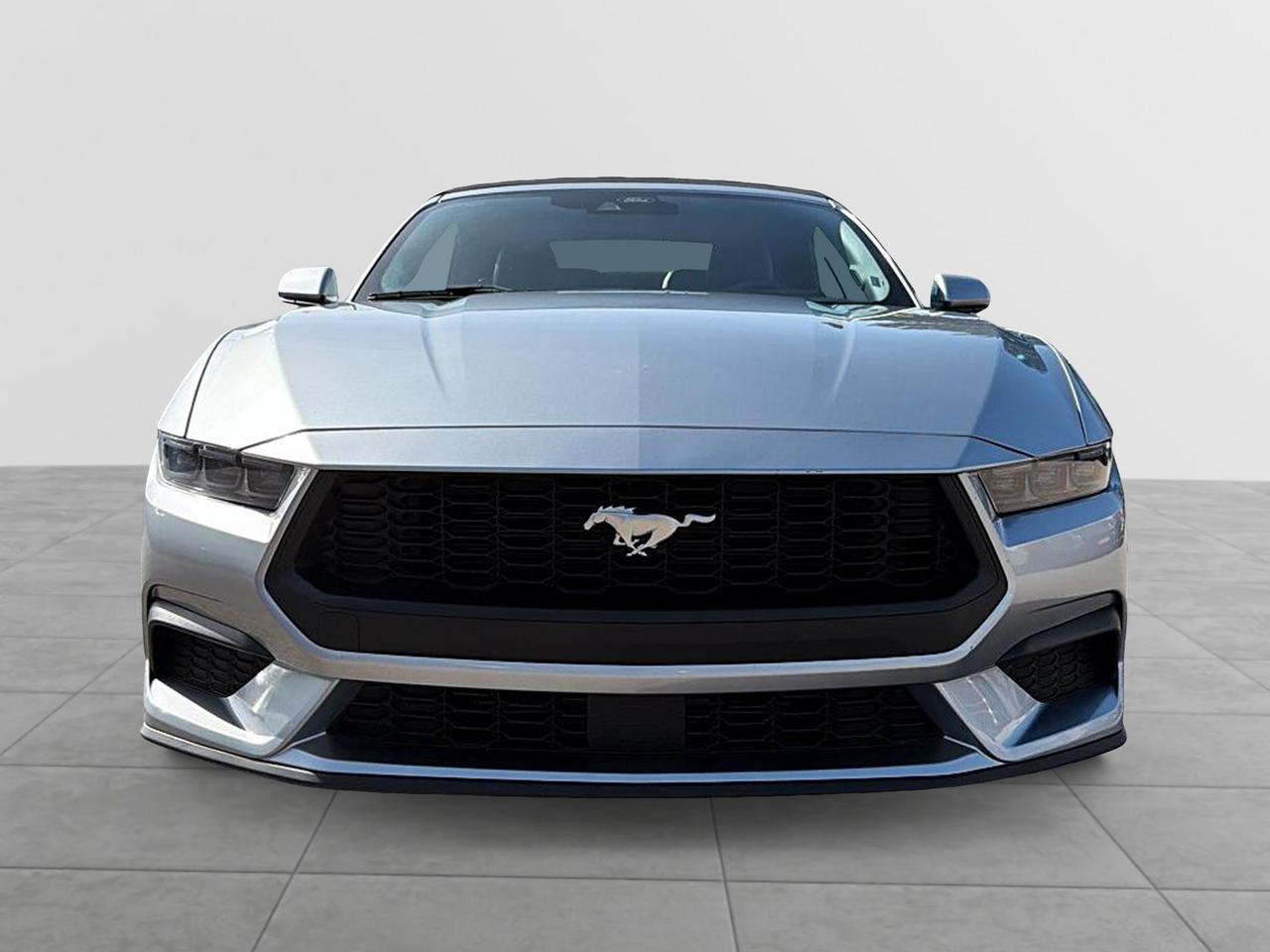 2025 Ford Mustang EcoBoost Premium Convertible | NO ACCIDENTS | CARP Photo