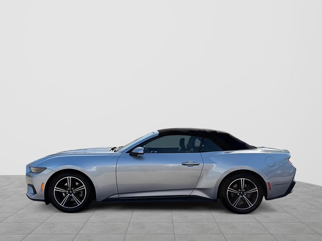 2025 Ford Mustang EcoBoost Premium Convertible | NO ACCIDENTS | CARP Photo