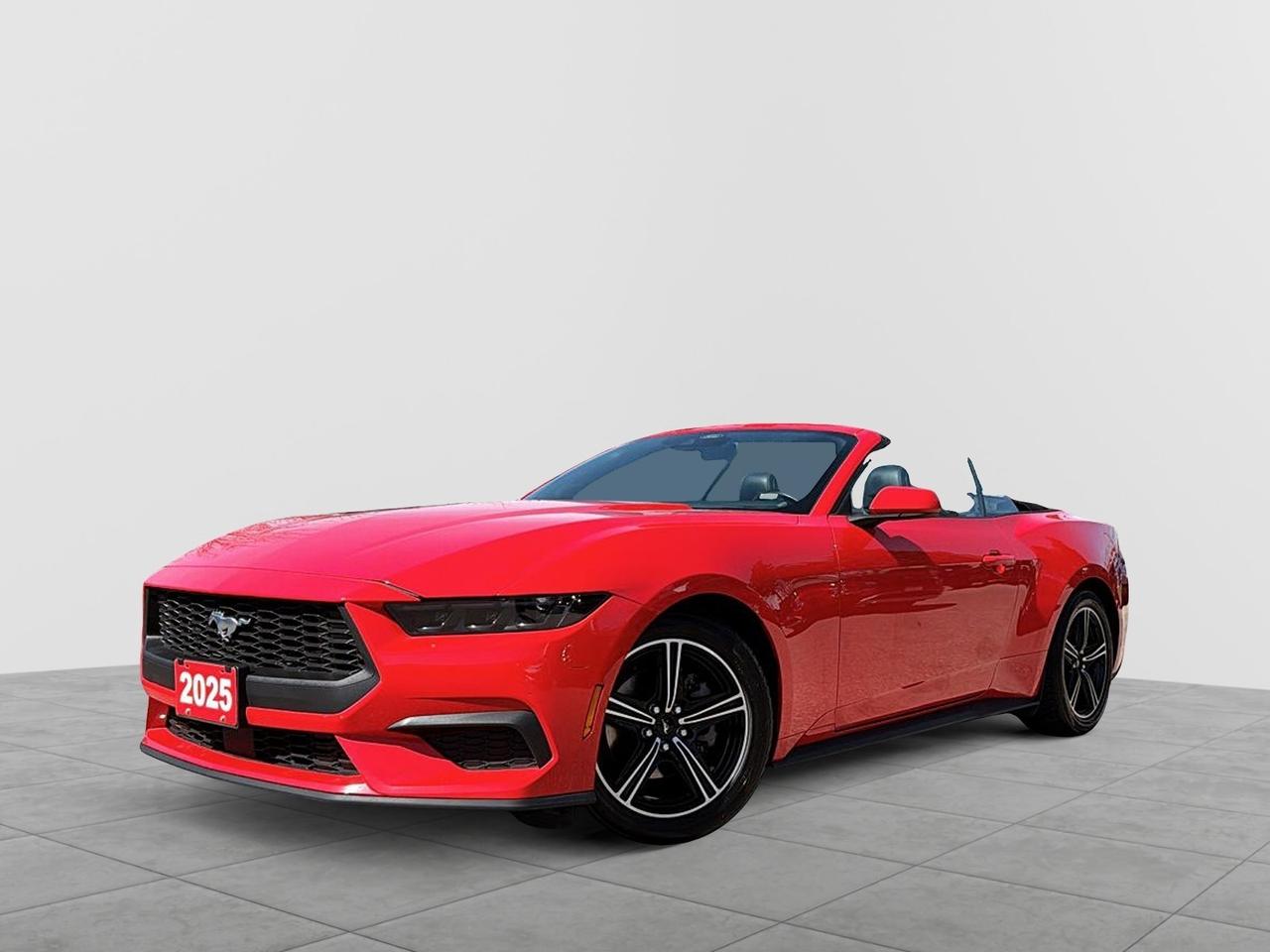 2025 Ford Mustang EcoBoost Premium Convertible | NO ACCIDENTS Photo0
