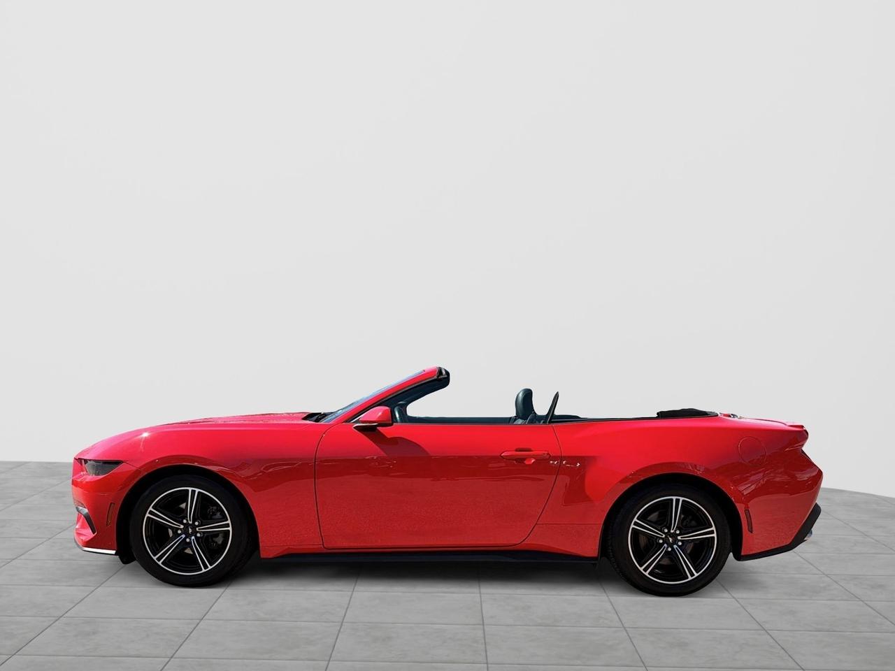 2025 Ford Mustang EcoBoost Premium Convertible | NO ACCIDENTS Photo