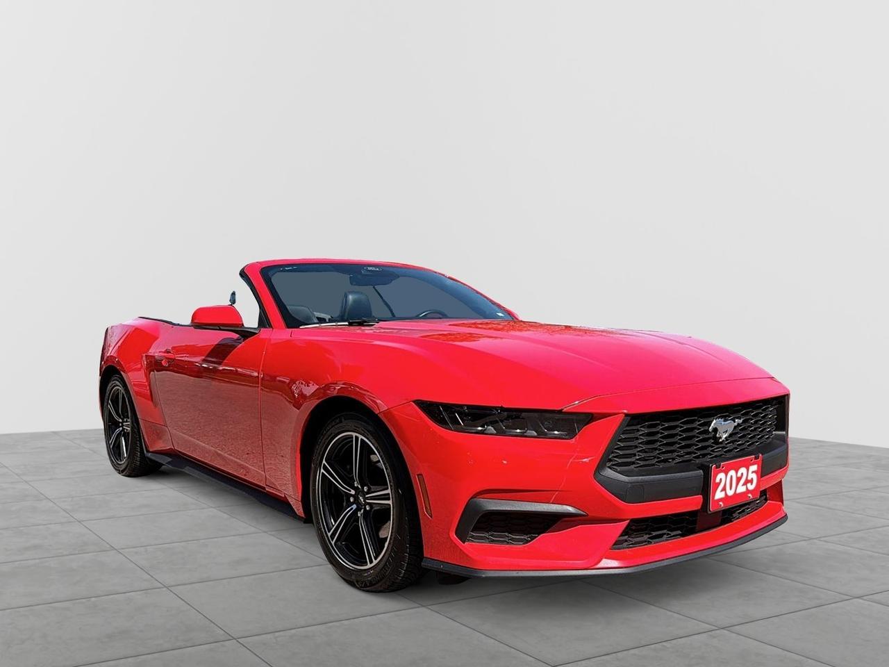 2025 Ford Mustang EcoBoost Premium Convertible | NO ACCIDENTS Photo