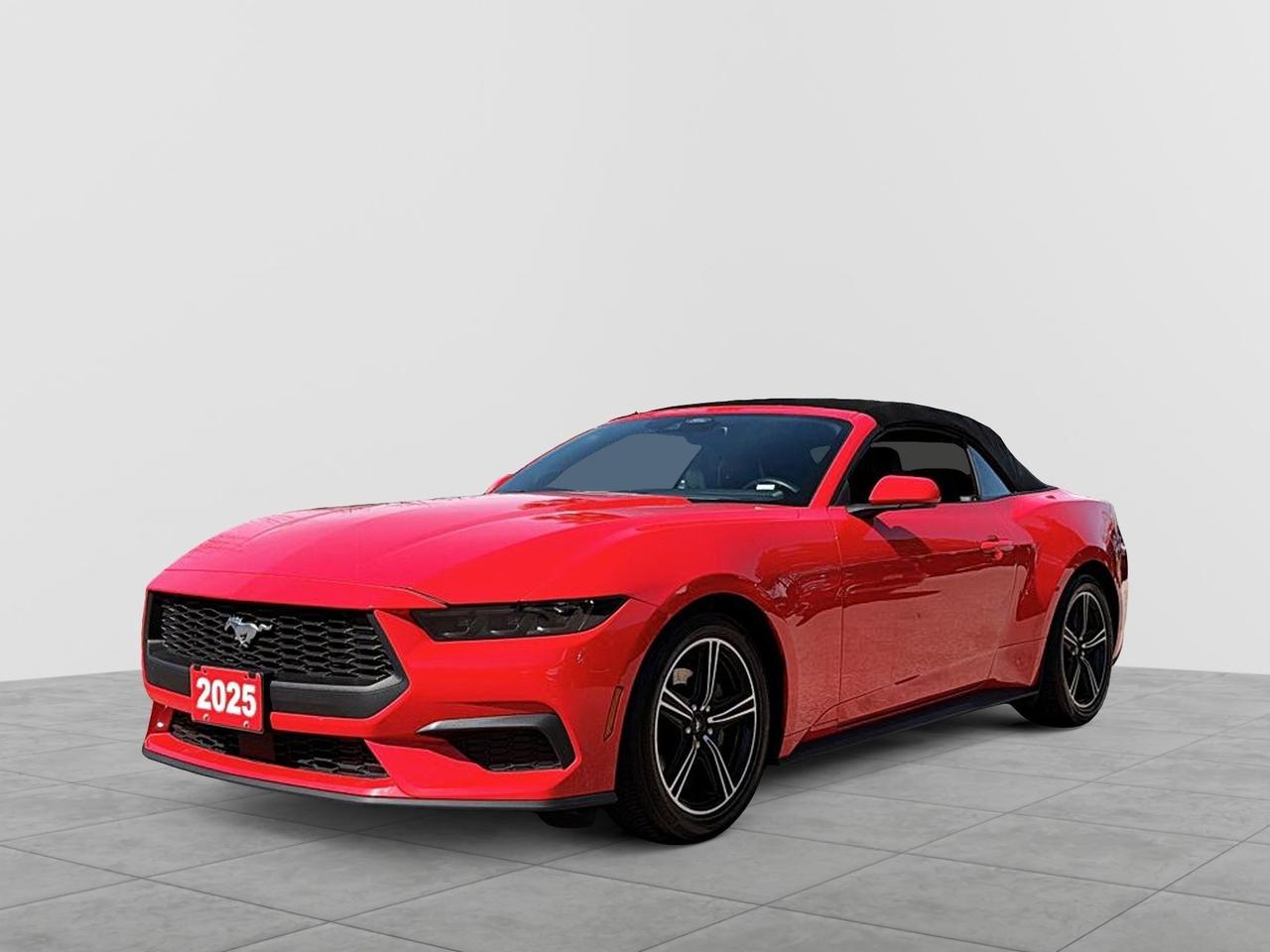 2025 Ford Mustang EcoBoost Premium Convertible | NO ACCIDENTS Photo