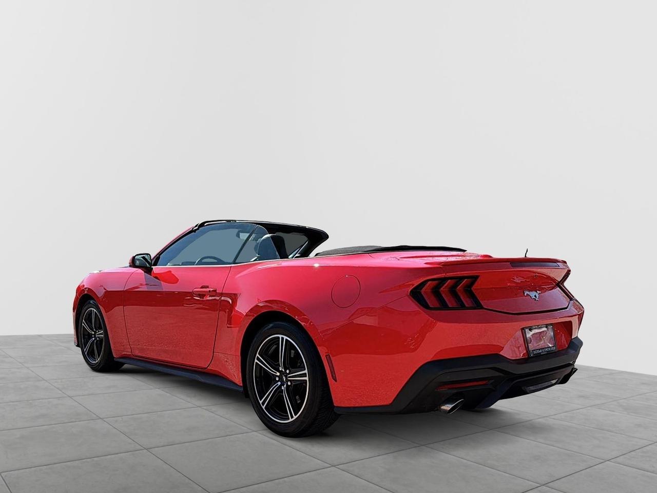 2025 Ford Mustang EcoBoost Premium Convertible | NO ACCIDENTS Photo