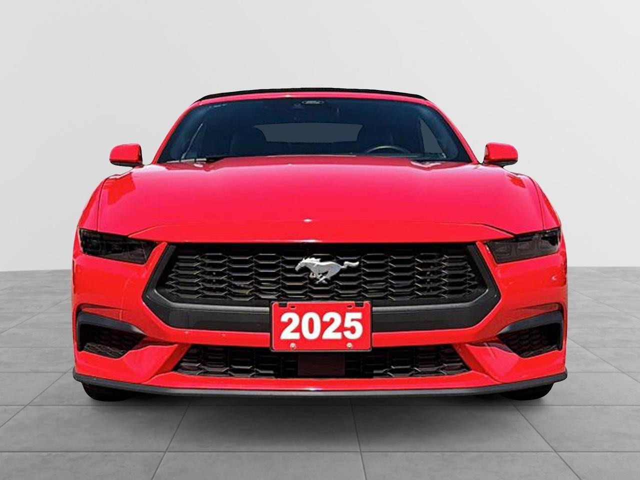 2025 Ford Mustang EcoBoost Premium Convertible | NO ACCIDENTS Photo