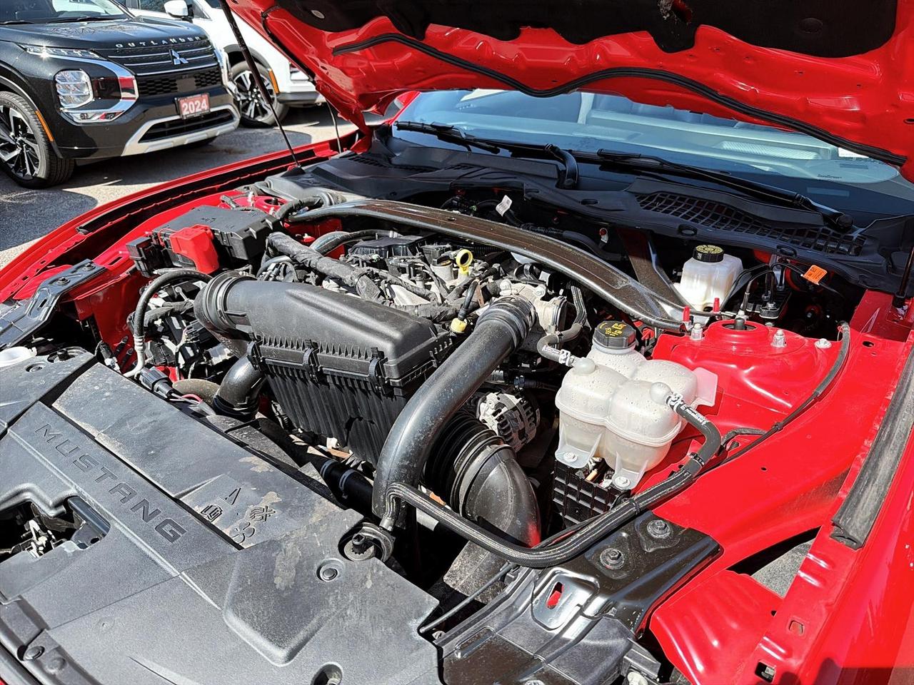 2025 Ford Mustang EcoBoost Premium Convertible | NO ACCIDENTS Photo