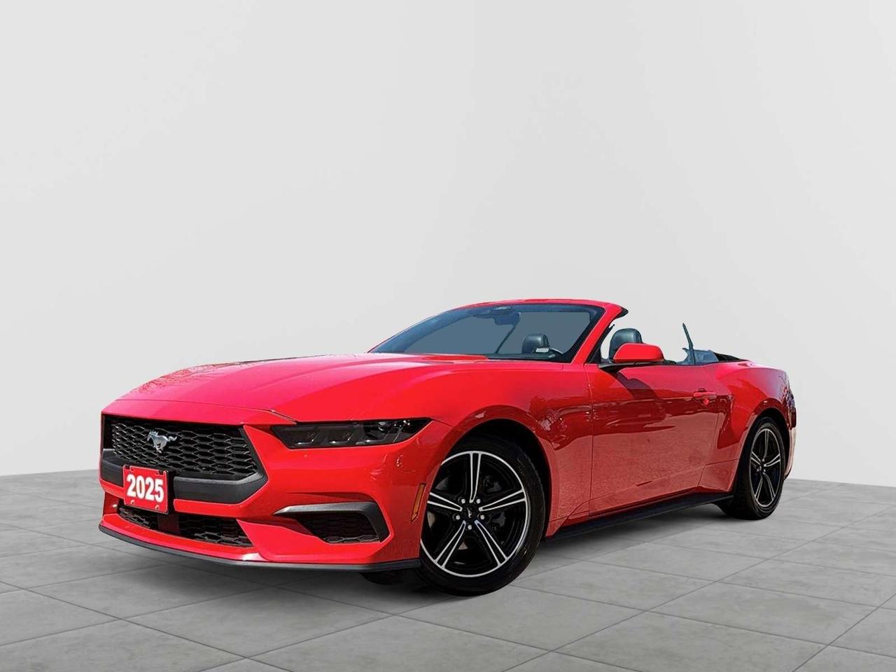 Apple CarPlay / Android Auto, Auto High-beam Headlights, Heated front seats, Leather Shift Knob, Power convertible roof, Power driver seat, Rain sensing wipers, Rear Parking Sensors, Sport steering wheel.

Recent Arrival!

CARFAX Canada No Reported Accidents CARFAX Canada One Owner

2025 Ford Mustang Premium Convertible in Race Red!

Open-Air Freedom Meets Iconic Performance

The 2025 Ford Mustang Convertible delivers classic muscle car performance with the thrill of top-down driving in a modern, tech-filled package. Available with a turbocharged 2.3L EcoBoost engine (315 HP) or an exhilarating 5.0L V8 (up to 480 HP), paired with rear-wheel drive and selectable drive modes, it offers strong performance whether youre cruising the city or opening it up on the highway . With its power soft-top roof, you can drop the top in seconds and enjoy true open-air driving anytime. Inside, the Mustang blends sport and comfort with leather or leatherette seating, heated and ventilated front seats, a fully digital 12.4" cluster, large 13.2" touchscreen with Apple CarPlay and Android Auto, and premium audio options, creating a modern, driver-focused cockpit . Safety and convenience are built in with blind-spot monitoring, lane-keep assist, rear cross-traffic alert, and a rearview camera, giving confidence on every drive . Bold, fun, and unmistakably Mustang, the 2025 Convertible is perfect for drivers who want performance, style, and the freedom of open-air driving all in one iconic ride.

Vehicle Price and Finance payments include OMVIC Fee, Admin Fee and Fuel. Erin Mills Mitsubishi is proud to offer a superior selection of top quality pre-owned vehicles of all makes. We stock cars, trucks, SUVs, sports cars, and crossovers to fit every budget!! We have been proudly serving the cities and towns of Kitchener, Guelph, Waterloo, Hamilton, Oakville, Toronto, Windsor, London, Niagara Falls, Cambridge, Orillia, Bracebridge, Barrie, Mississauga, Brampton, Simcoe, Burlington, Ottawa, Sarnia, Port Elgin, Kincardine, Listowel, Collingwood, Arthur, Wiarton, Brantford, St. Catharines, Newmarket, Stratford, Peterborough, Kingston, Sudbury, Sault Ste Marie, Welland, Oshawa, Whitby, Cobourg, Belleville, Trenton, Petawawa, North Bay, Huntsville, Gananoque, Brockville, Napanee, Arnprior, Bancroft, Owen Sound, Chatham, St. Thomas, Leamington, Milton, Ajax, Pickering and surrounding areas since 2009.