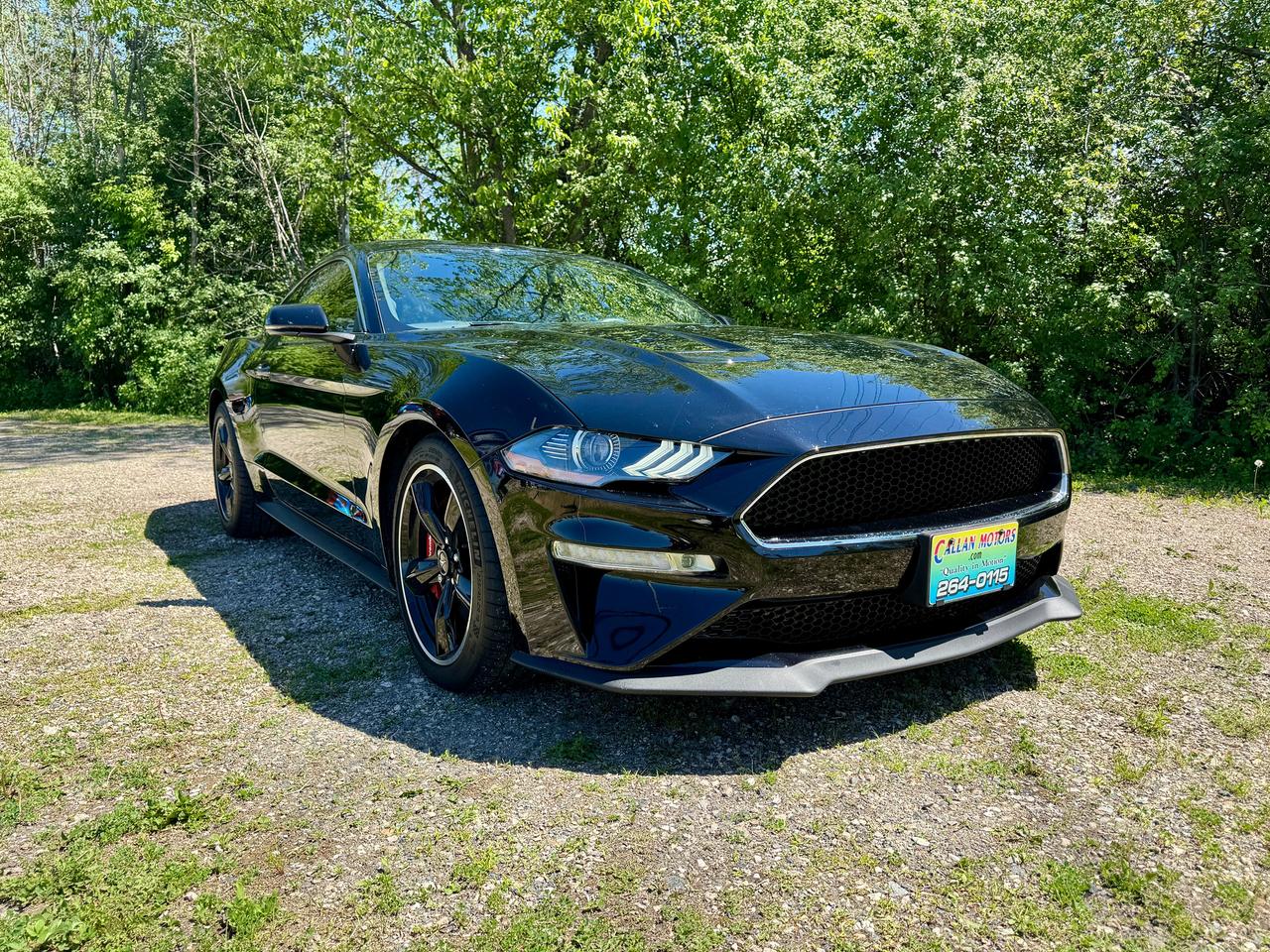 2020 Ford Mustang BULLITT Rare & Like New | L2421 | One Owner Photo
