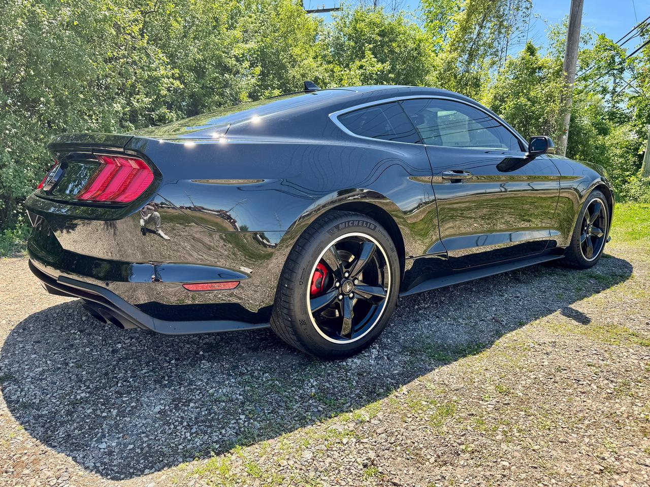 2020 Ford Mustang BULLITT Rare & Like New | L2421 | One Owner Photo4