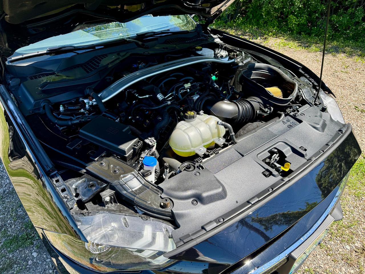 2020 Ford Mustang BULLITT Rare & Like New | L2421 | One Owner Photo