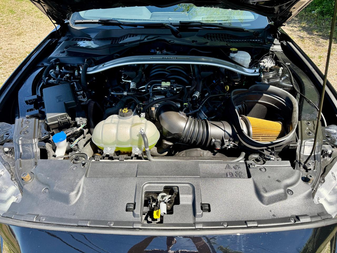 2020 Ford Mustang BULLITT Rare & Like New | L2421 | One Owner Photo