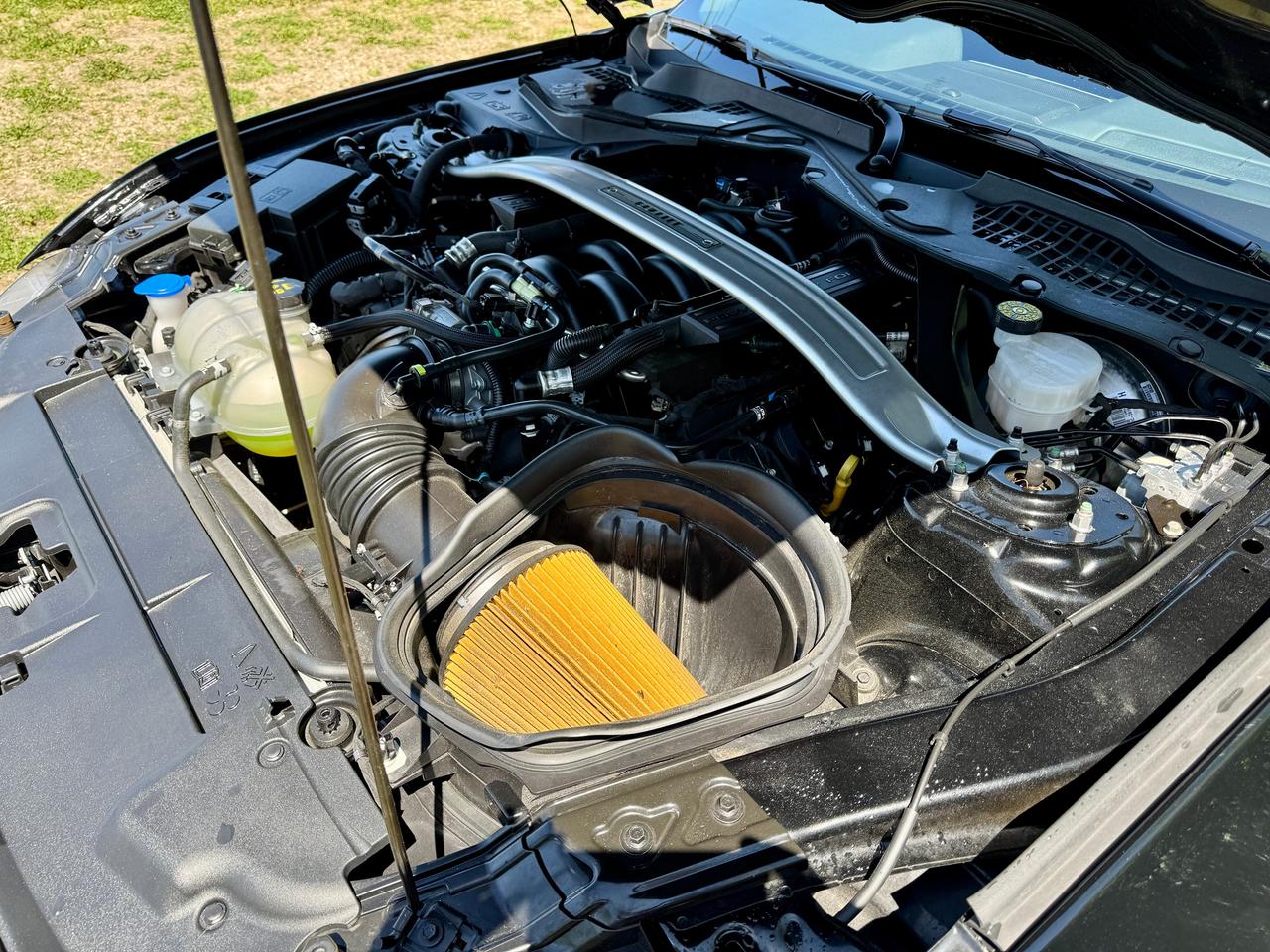 2020 Ford Mustang BULLITT Rare & Like New | L2421 | One Owner Photo