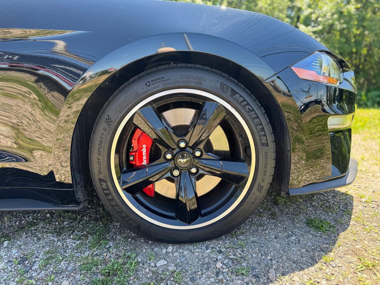 2020 Ford Mustang BULLITT Rare & Like New | L2421 | One Owner Photo