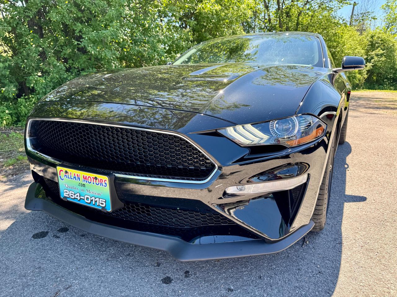 2020 Ford Mustang BULLITT Rare & Like New | L2421 | One Owner Photo