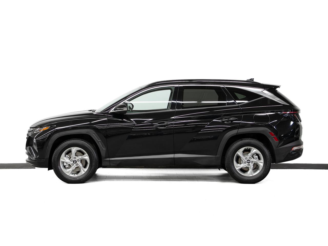 2024 Hyundai Tucson TREND AWD | Pano roof | Leather | ACC | CarPlay