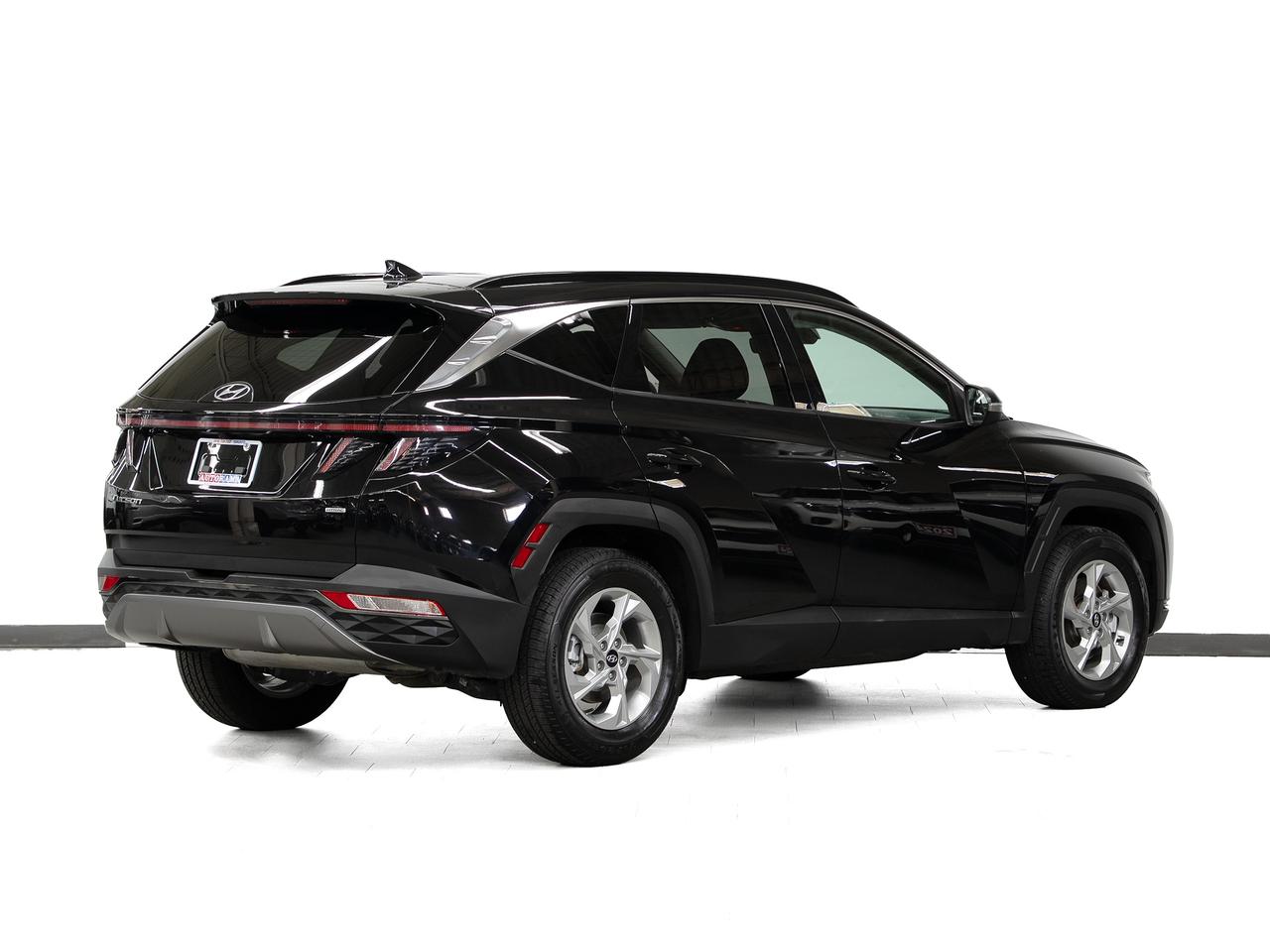 2024 Hyundai Tucson TREND AWD | Pano roof | Leather | ACC | CarPlay