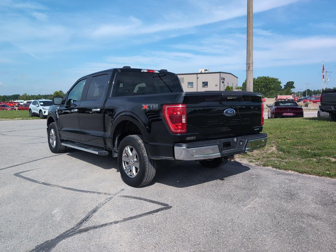 2023 Ford F-150 XLT 4WD SuperCrew 5.5' Box Photo3