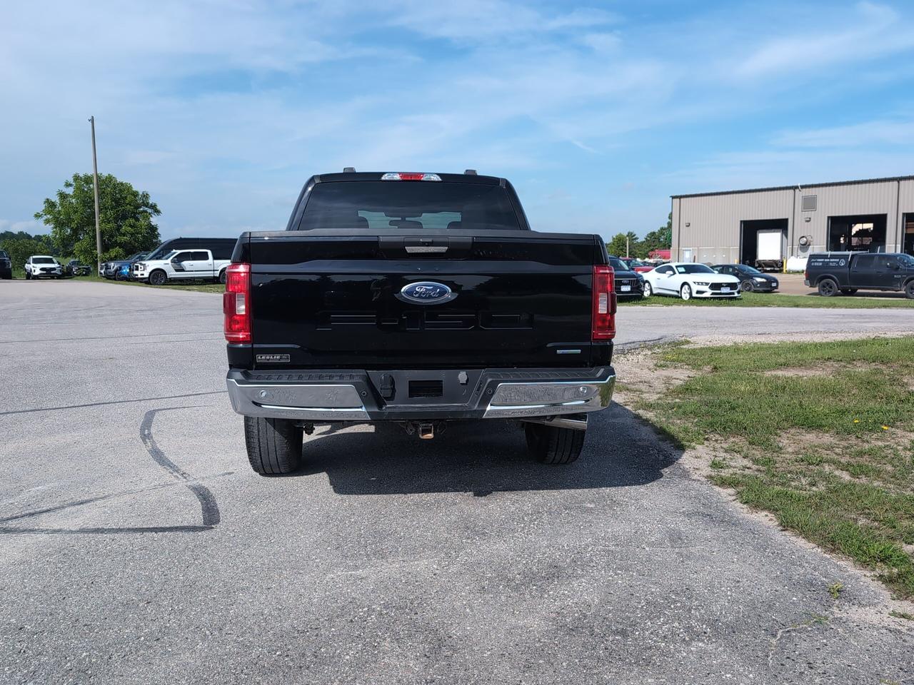 2023 Ford F-150 XLT 4WD SuperCrew 5.5' Box Photo4