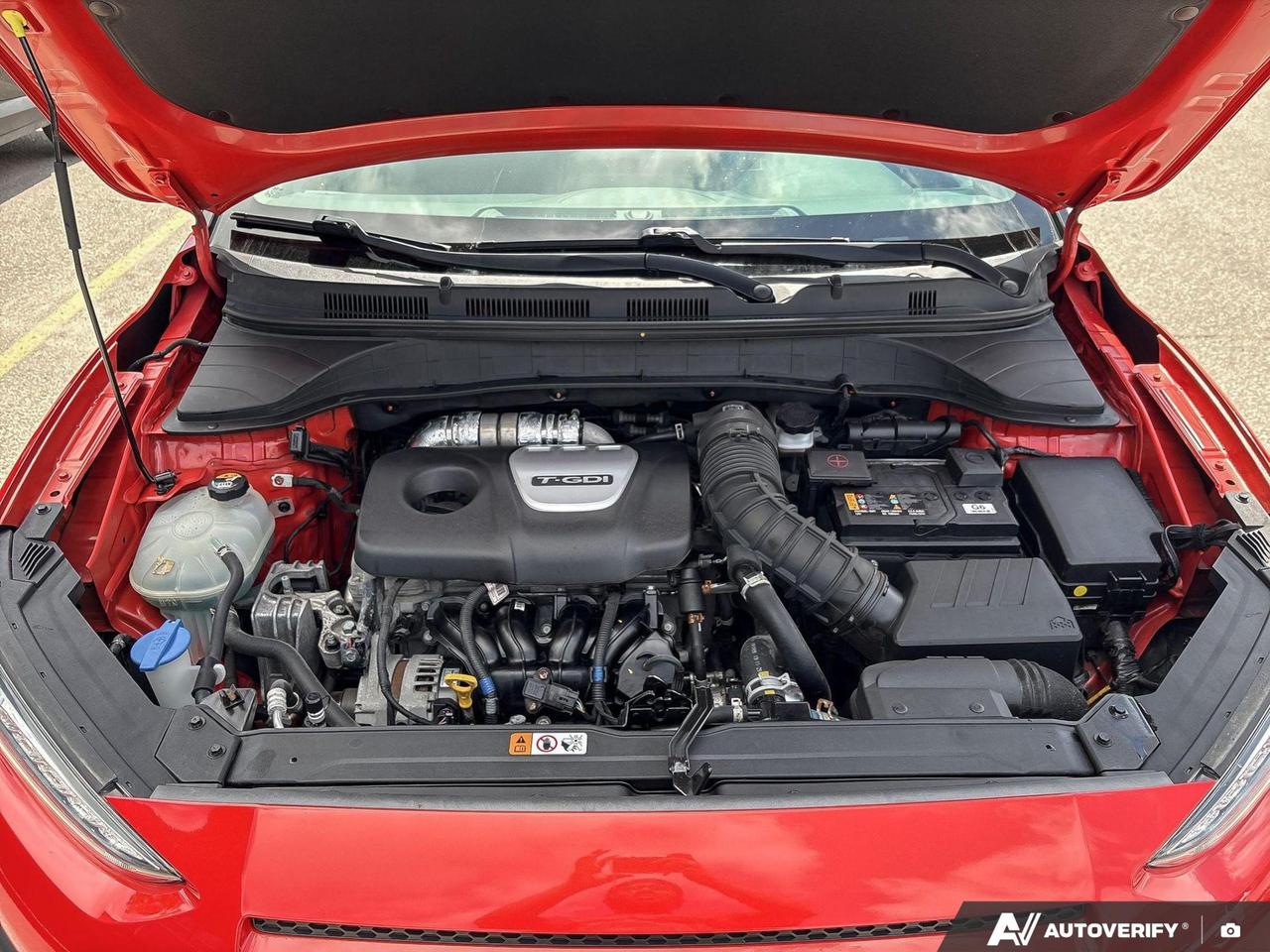 14244716