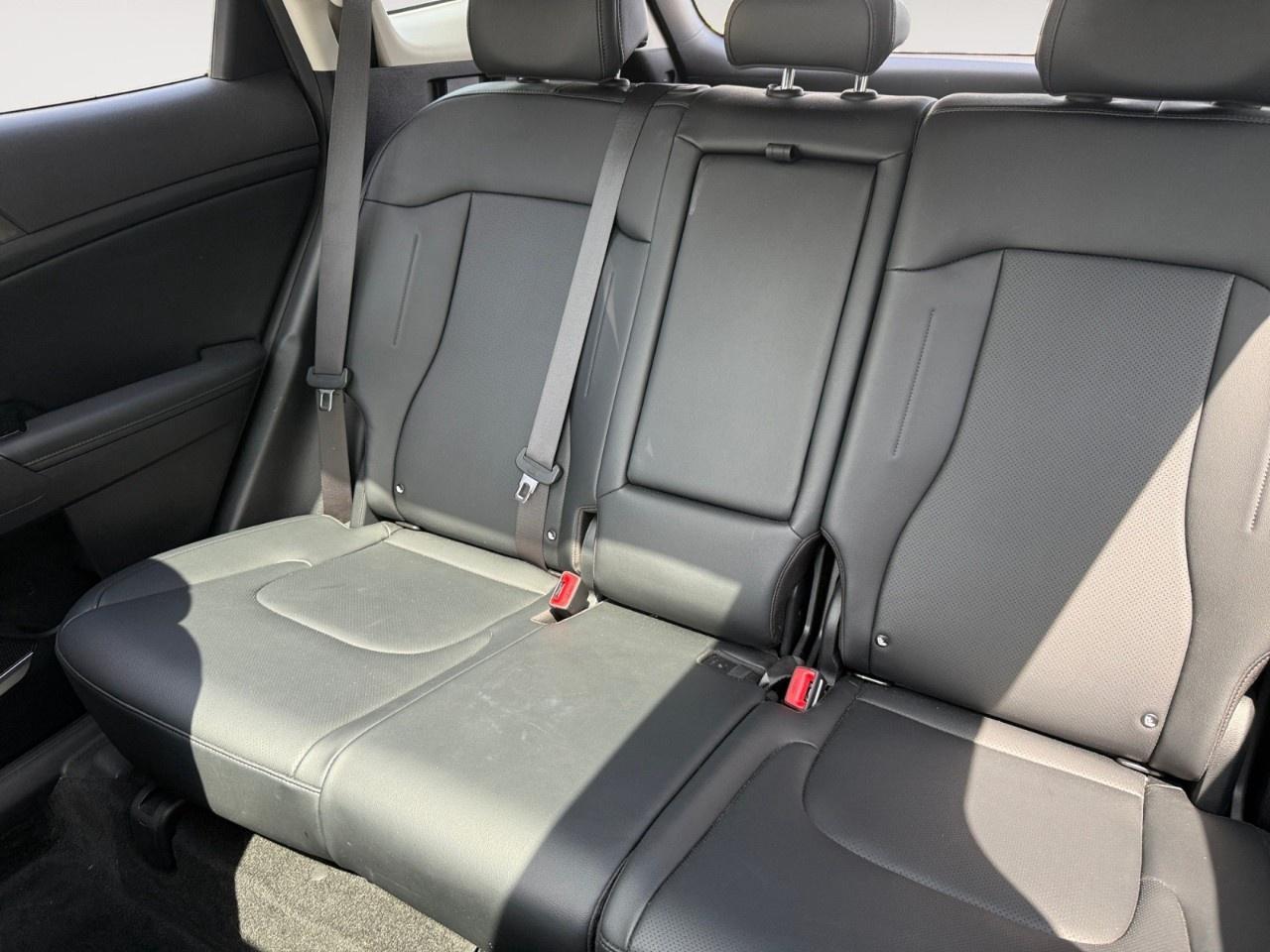 2024 Kia Sportage EX AWD Photo
