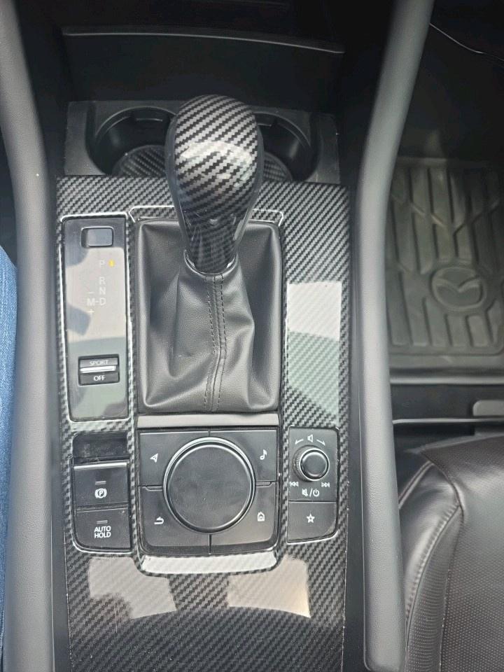 2021 Mazda MAZDA3 GT Photo