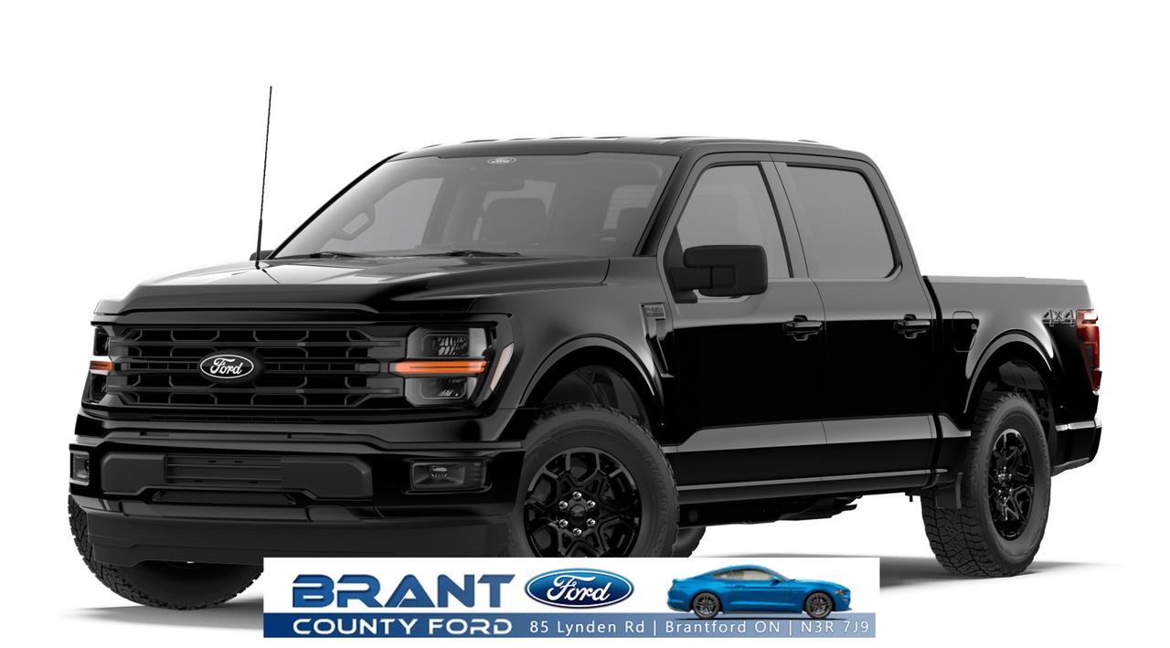 2026 Ford F-150 XLT Photo