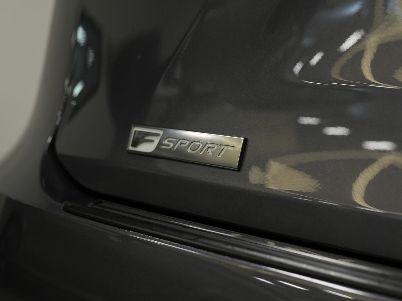 2016 Lexus RX 350 350 | F-SPORT | SUNROOF | 20 IN Photo