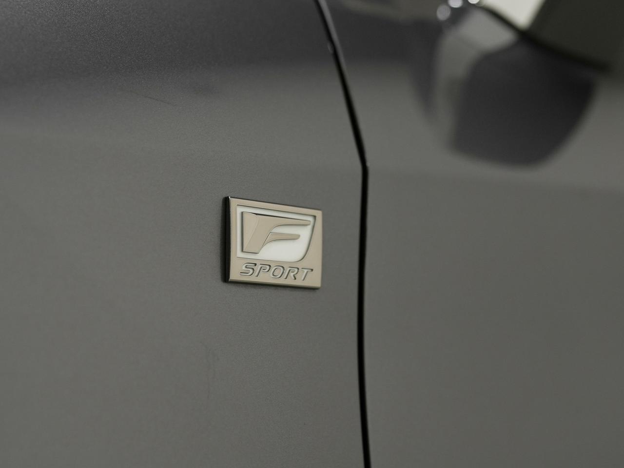 2016 Lexus RX 350 350 | F-SPORT | SUNROOF | 20 IN Photo