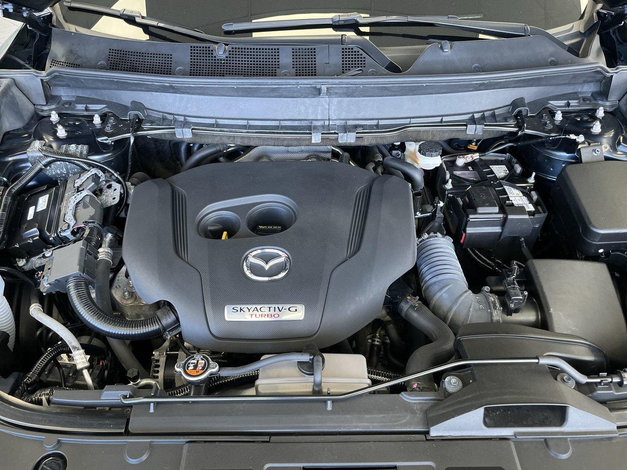 14245514