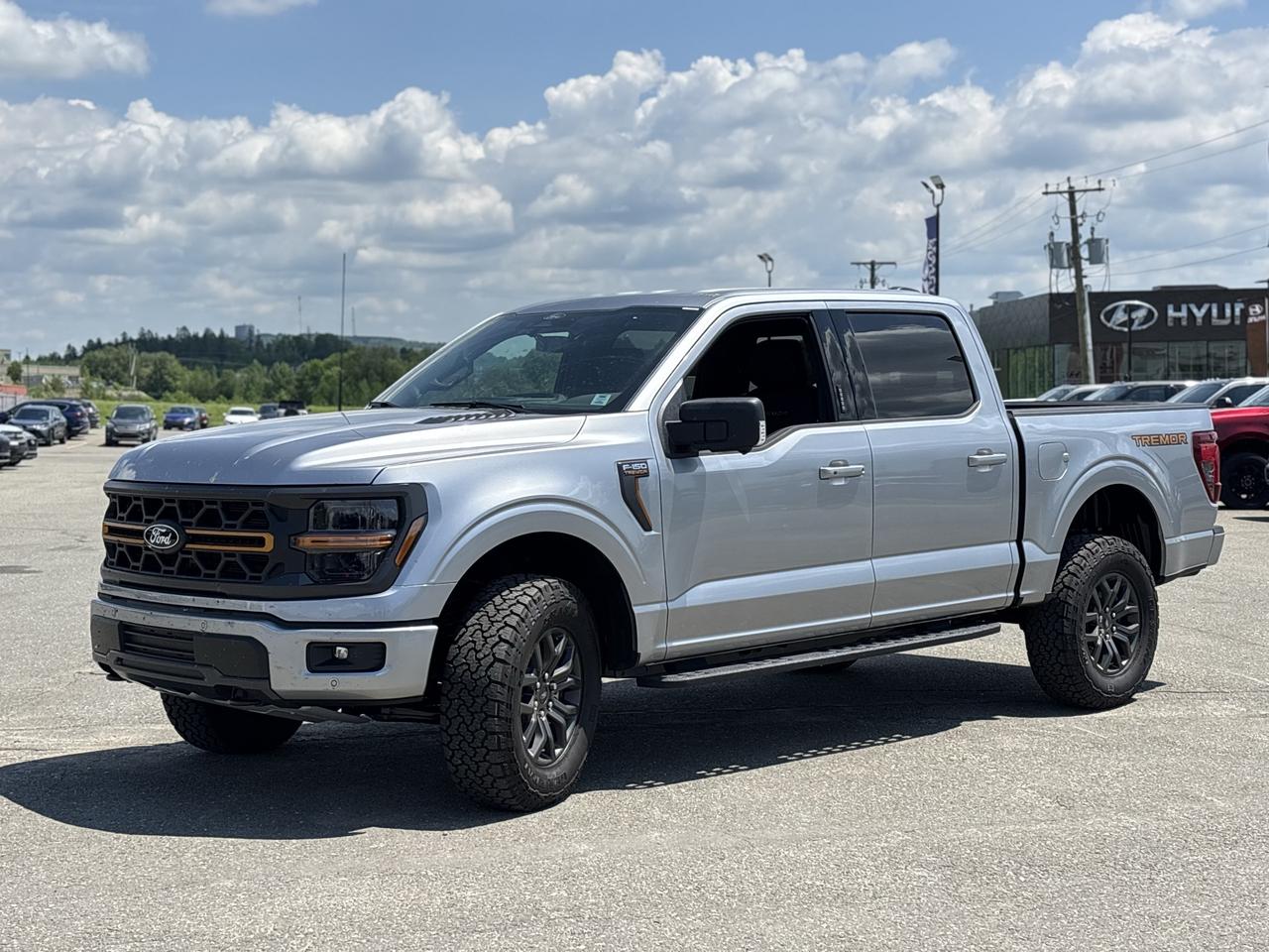 2026 Ford F-150 Tremor 4WD SuperCrew 5.5' Box Photo1