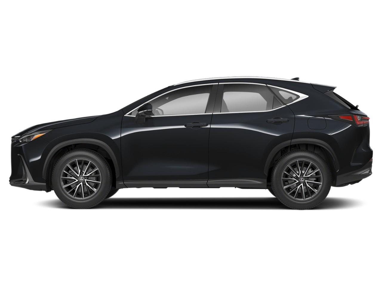 2022 Lexus NX 350 Photo