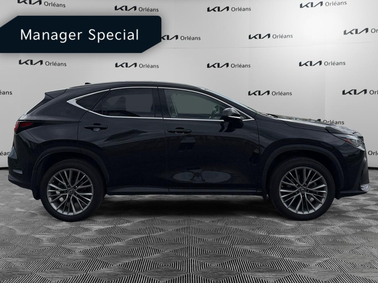 2022 Lexus NX 350 Photo