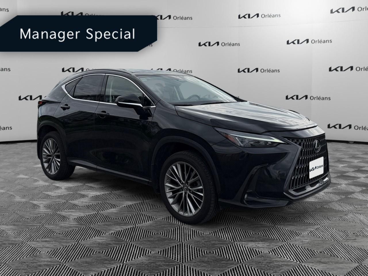 2022 Lexus NX 350 Photo