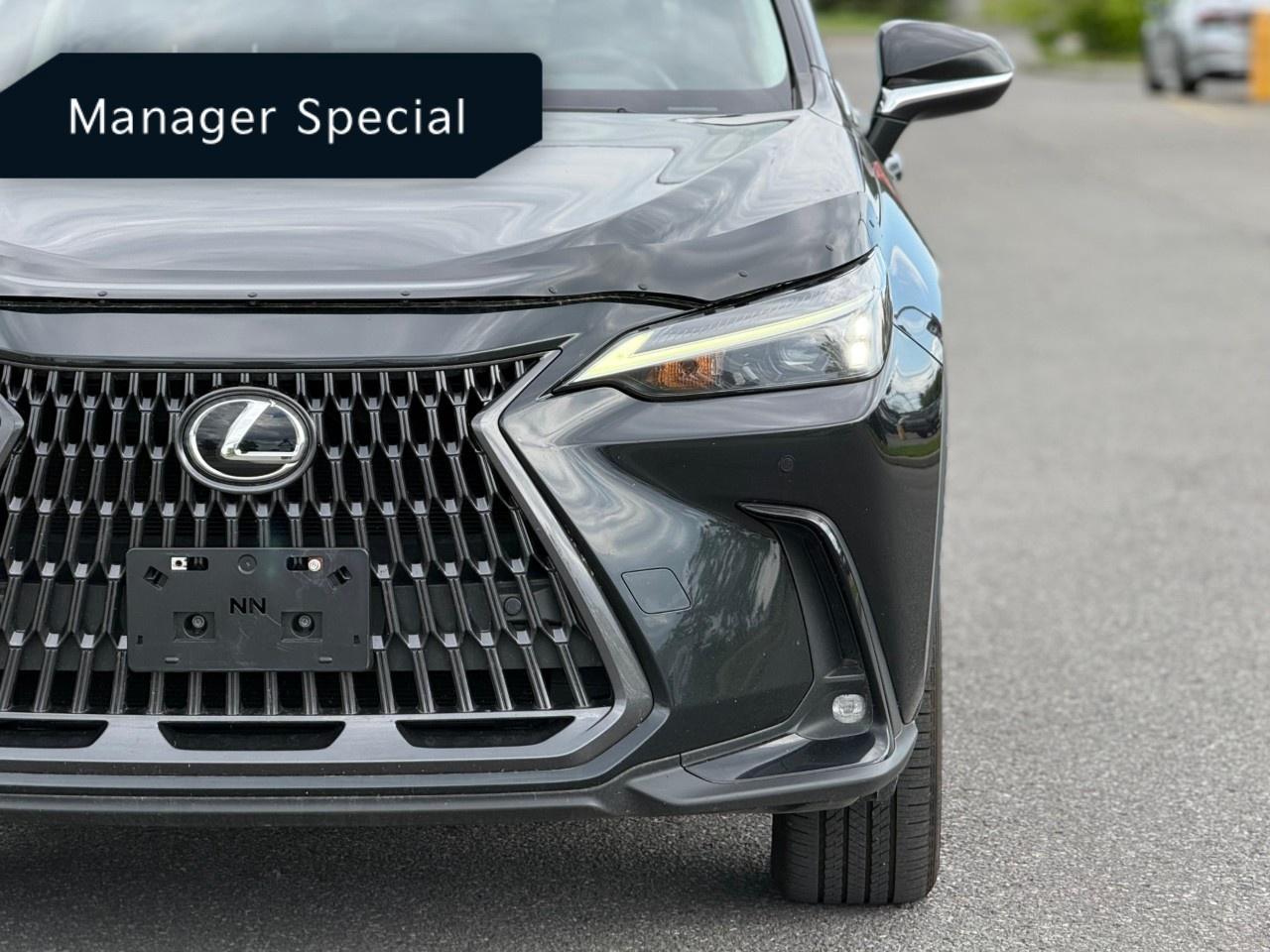2022 Lexus NX 350 Photo