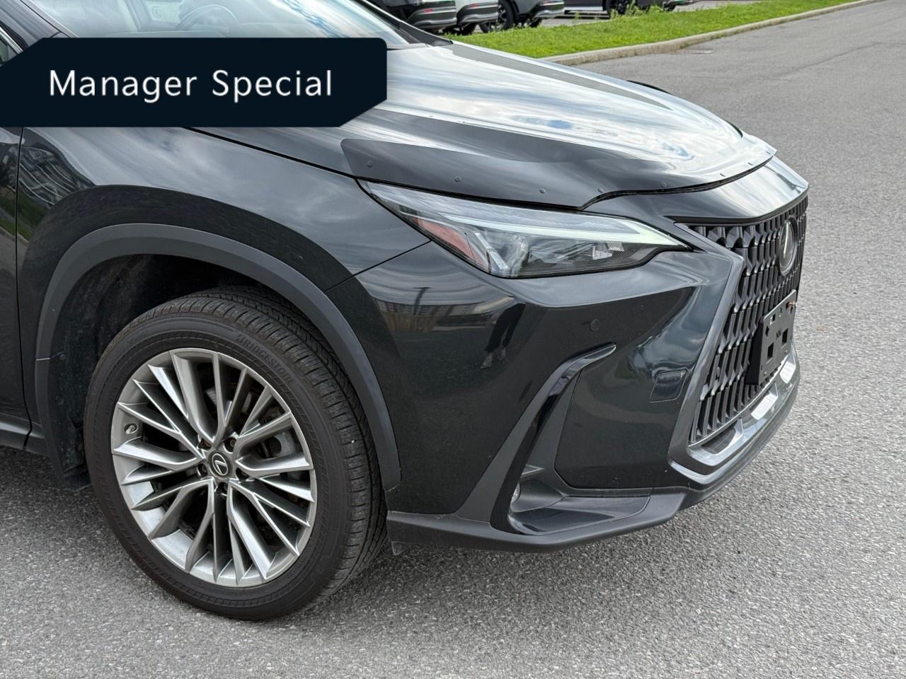 2022 Lexus NX 350 Photo