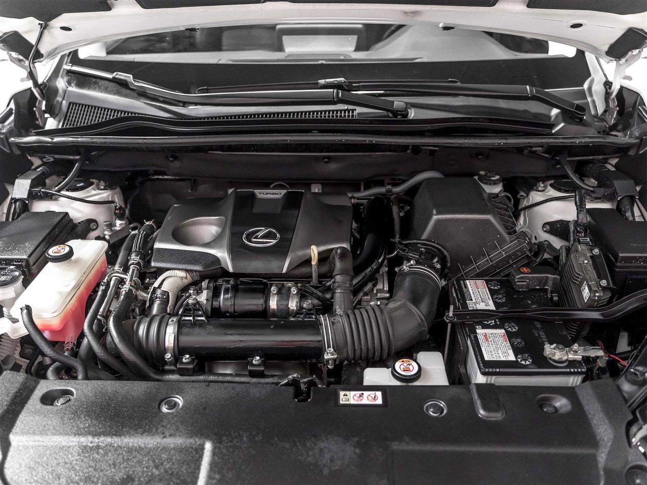 2020 Lexus NX 300|Accident Free|Ontario Vehicle|Very Clean Photo